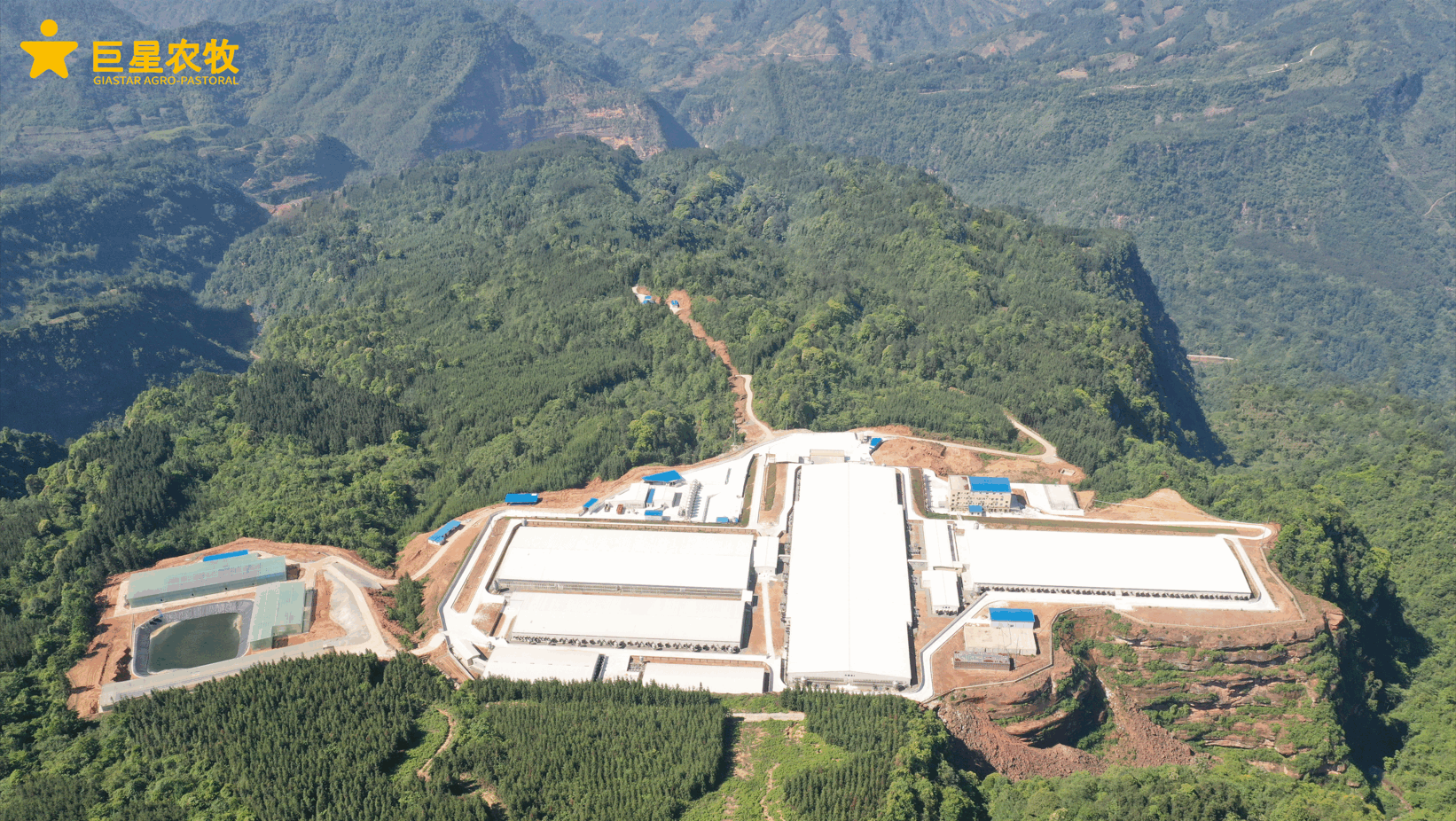 QQ截图20250811120634